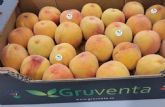 GRUVENTA prevé como “muy positiva” la próxima campaña de fruta de hueso