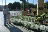 Murcia se engalana con 50.000 flores de temporada
