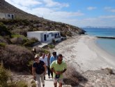 Isla Grosa se convierte en el principal ´dormidero´ de cormorán moñudo en el Mediterráneo