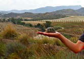 IU-Verdes Lorca denuncia la destrucción del patrimonio natural de las pedanías del norte
