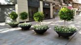 Más de 200 maceteros con 30.000 flores decoran las calles de Murcia