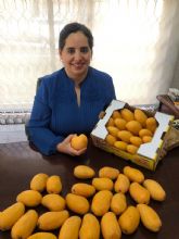 'Japn es un mercado atractivo para los mangos de Mxico donde queremos incrementar nuestras exportaciones'