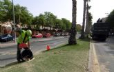Concluye la poda de más de 500 palmeras del barrio de La Flota