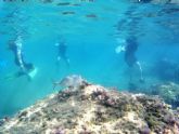 El proyecto ´Camonmar3´ pone de relieve la biodiversidad marina de la Bahía de Mazarrón