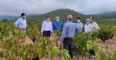 La Comunidad apoya al sector vitivinícola a través de ayudas y líneas de investigación que impulsen la modernización y competitividad