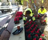 60.000 flores llenarán las calles de Murcia con motivo de la campaña de invierno