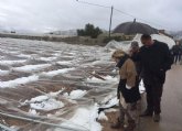 La Alcaldía eleva una moción solidarizándose con los agricultores afectados por el temporal de frío polar