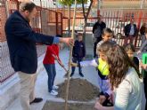 El colegio Francisco Salzillo de Los Ramos se suma a la plantación de nuevo arbolado gracias al Plan Foresta
