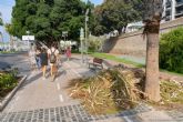El Ayuntamiento habilita un número de teléfono para reforzar la recogida de restos vegetales en las zonas costeras de Cartagena