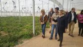 Consejera de Agricultura y alcaldesa visitan las instalaciones de la nueva empresa hortofrutícola en Campos del Río