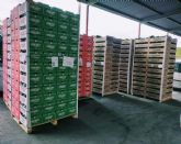 Cricket Campo de Lorca envía 14.000 kilos de ayuda humanitaria