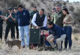 Fernando suelta dos nuevos ejemplares del lince en las Tierras Altas de Lorca