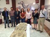 El Museo Jerónimo Molina dona varias huellas fósiles a la Universidad de Murcia