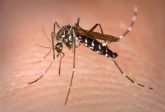 Arranca el plan de choque contra los mosquitos en las diputaciones, que requerirá el cierre de puertas y ventanas