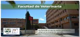 El Grupo Municipal Socialista presenta al Pleno de noviembre una moción de apoyo a la Facultad de Veterinaria de la Universidad de Murcia