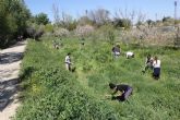 Voluntarios y voluntarias de Molina de Segura celebraron el Día Mundial del Árbol 2017 con una plantación en el Soto de la Hijuela