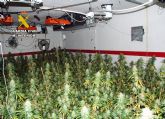 La Guardia Civil detiene a una pareja en Cartagena que tenía un invernadero de marihuana en su domicilio