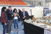 La Feria Nacional de Coleccionismo reúne más de 20.000 artículos de colección en Puerto Lumbreras