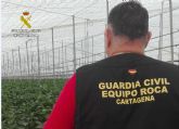 La Guardia Civil desmantela un grupo delictivo dedicado a sustraer productos agrícolas
