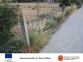 La Comunidad pide a los ayuntamientos que empleen plantas autóctonas en sus zonas ajardinadas en lugar de plantas exóticas