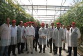 Una delegación del Ministerio de Agricultura visita los invernaderos de tomate de Mazarrón y Águilas