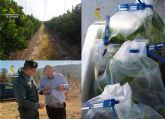 La Guardia Civil investiga a tres personas por utilizar con fines comerciales variedades de frutales protegidas