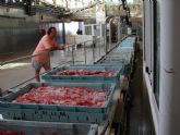 La Comunidad concede ayudas al sector pesquero por valor de 131.700 euros