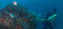 Yacimiento subacutico Bajo de la Campana