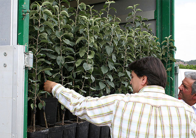 Los primeros Peros de Alcuza llegan a Cehegín - 1, Foto 1