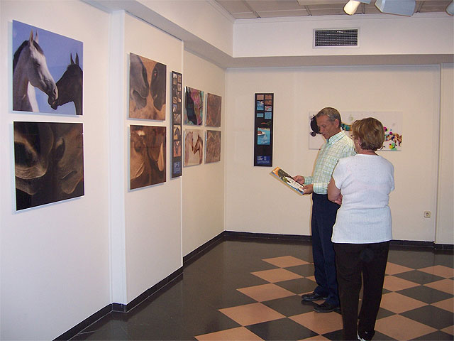 CULTURA INAUGURA LA EXPOSICIÓN ITINERANTE DE LA CAM “¡PÍDELE PERAS AL OLMO”!, QUE PERMANECERÁ EN LA SALA MUNICIPAL DE EXPOSICIONES “GREGORIO CEBRIÁN” HASTA EL 8 DE JUNIO - 2, Foto 2