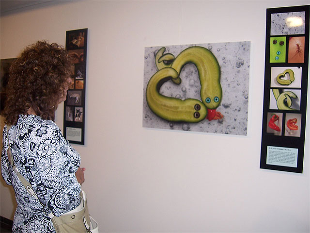 CULTURA INAUGURA LA EXPOSICIÓN ITINERANTE DE LA CAM “¡PÍDELE PERAS AL OLMO”!, QUE PERMANECERÁ EN LA SALA MUNICIPAL DE EXPOSICIONES “GREGORIO CEBRIÁN” HASTA EL 8 DE JUNIO - 3, Foto 3