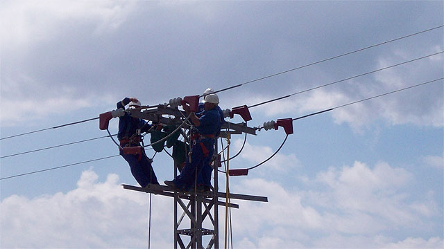 Desarrollo Sostenible e Iberdrola inician los trabajos para proteger a las aves de los riesgos de los tendidos eléctricos en la Región - 1, Foto 1