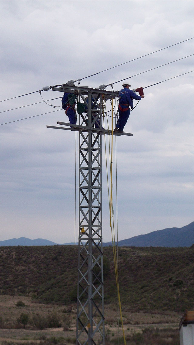 Desarrollo Sostenible e Iberdrola inician los trabajos para proteger a las aves de los riesgos de los tendidos eléctricos en la Región - 2, Foto 2