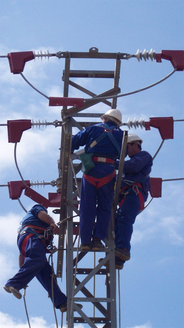 Desarrollo Sostenible e Iberdrola inician los trabajos para proteger a las aves de los riesgos de los tendidos eléctricos en la Región - 3, Foto 3