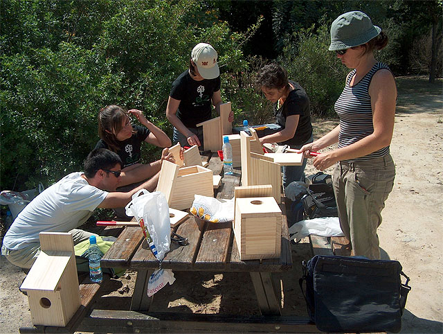Voluntarios ambientales de Molina de Segura colocan cajas nido en el Soto de La Hijuela a orillas del Río Segura - 1, Foto 1