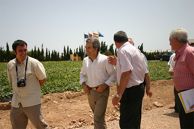 Cerdá asegura que la innovación tecnológica confiere “competitividad, calidad y rentabilidad” al sector agrario regional - 1, Foto 1