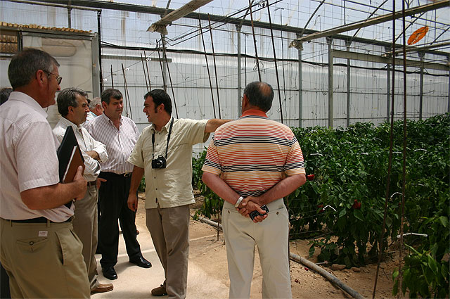 Cerdá asegura que la innovación tecnológica confiere “competitividad, calidad y rentabilidad” al sector agrario regional - 2, Foto 2