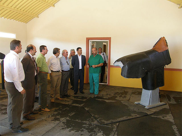 Antonio Cerdá destaca que el sector equino contribuye al desarrollo rural y es una fuente de empleo y riqueza - 1, Foto 1