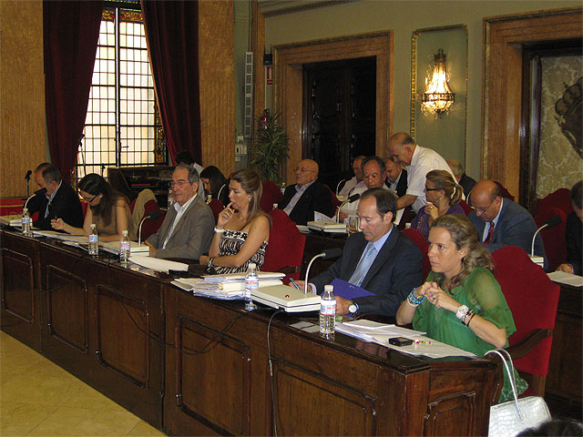 El Pleno exige al Gobierno Central que la subida de la tarifa eléctrica no grave a las familias - 1, Foto 1