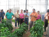 Agricultura muestra a 22 técnicos de Iberoamérica y el Caribe las experiencias de modernización de la agricultura regional