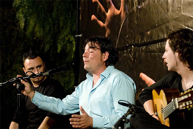 Más de 3.500 personas han disfrutado ya de los Recitales Flamencos - 2, Foto 2