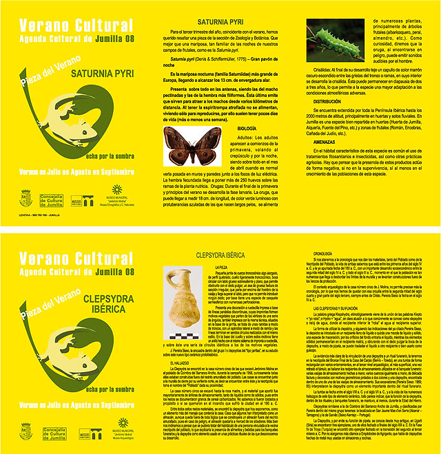 Una jarrita del mundo ibérico y una mariposa son las piezas del verano de los museos municipales - 1, Foto 1