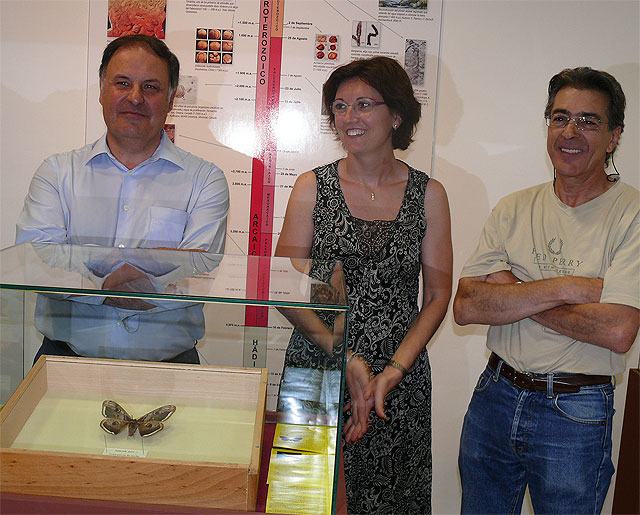 Una jarrita del mundo ibérico y una mariposa son las piezas del verano de los museos municipales - 2, Foto 2