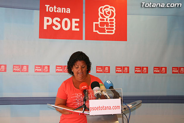 The Socialist Party says, "Martnez Andreo use the plenary to insult and attack the opposition", Foto 1