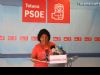 El PSOE asegura que 'Martínez Andreo utiliza el Pleno para insultar y atacar a la oposición'