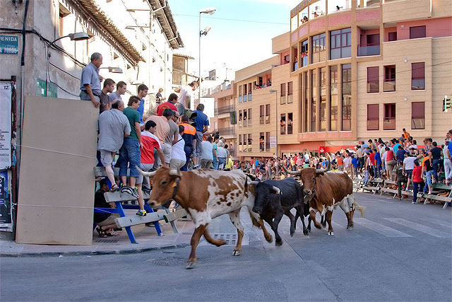 Primer encierro de San Zenón, lento pero sin incidentes de gravedad - 1, Foto 1