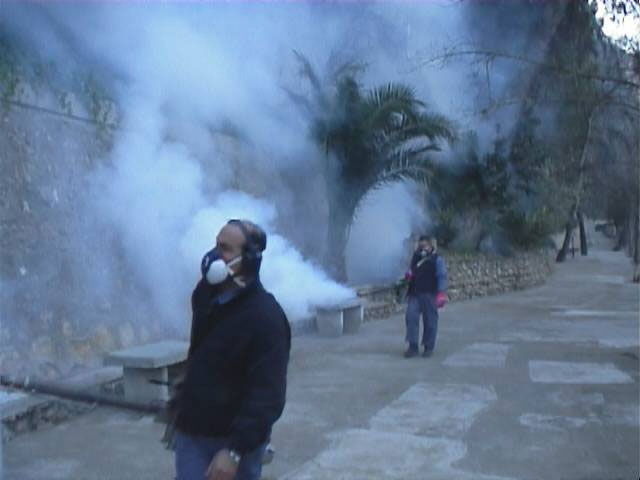 Desarrollo Sostenible crea un sistema para el control de las plagas de mosquitos - 2, Foto 2