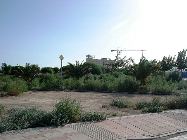 IU denuncia la situación de desidia en la que se encuentra el Polígono Industrial de Totana - 1, Foto 1