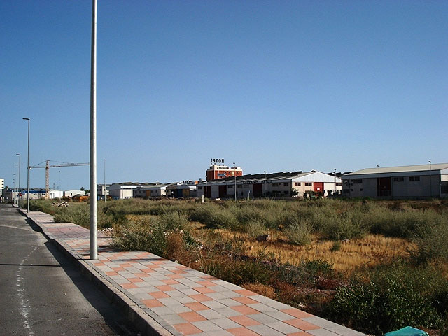 IU denuncia la situación de desidia en la que se encuentra el Polígono Industrial de Totana - 3, Foto 3