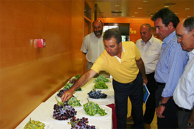 Agricultura y empresarios del sector colaboran para obtener nuevas variedades de uva de mesa - 1, Foto 1